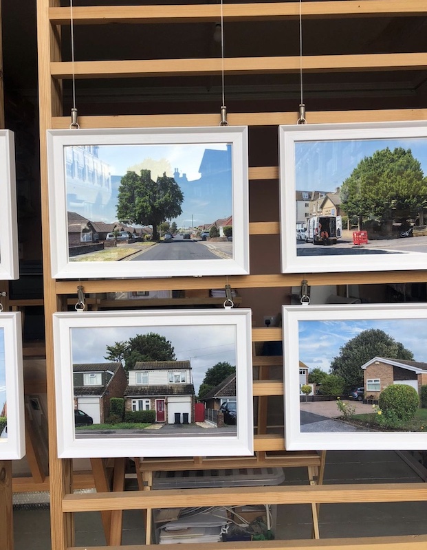 Exhibition 3 of Big Trees of Thanet